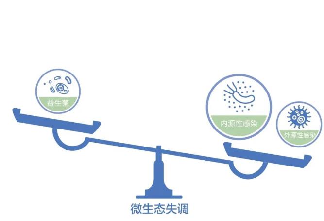 春节长假“护肠”的正确方式